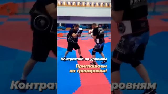 Рукопашный бой. Контратака по уровням - Hand to Hand Combat - Counterattack by Levels смотреть онлайн