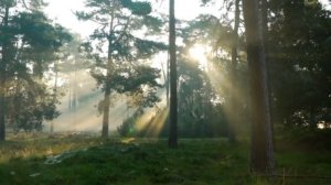 О, мой Чудный Бог! Ты прости меня...