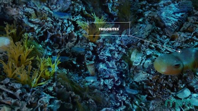 MPM Untold - The Silurian Reef смотреть онлайн