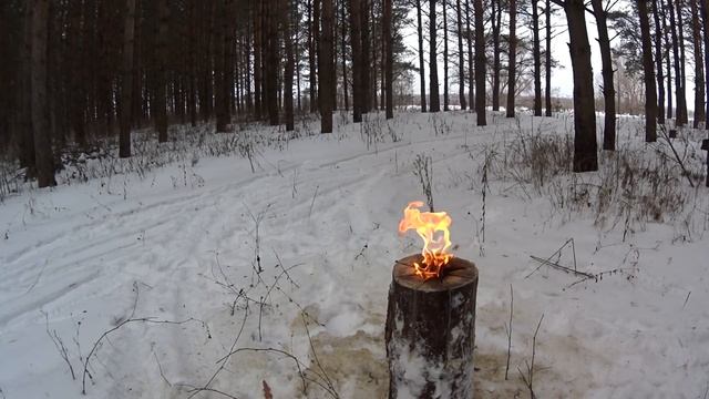 Как вскипятить чайник в лесу /Финская свеча / Шведская свеча / Таежная свеча / Костер смотреть онлайн
