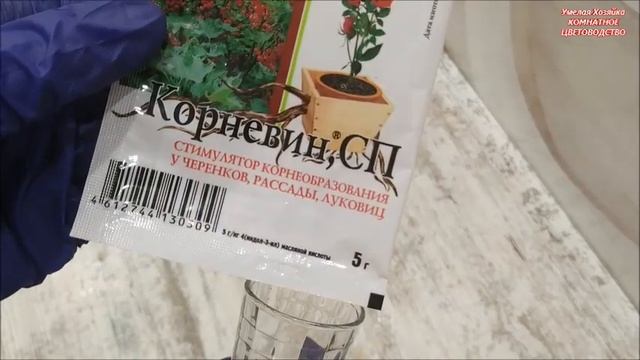 ПОЧЕМУ ГИБНУТ ПОКУПНЫЕ МАГАЗИННЫЕ ? ЦВЕТЫ⁉️ КАК РЕАНИМИРОВАТЬ ХИЛЫЕ РАСТЕНИЯ⁉️ смотреть онлайн