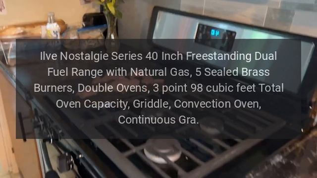 Ilve Range Model UPDN100FDMPA Error Codes смотреть онлайн