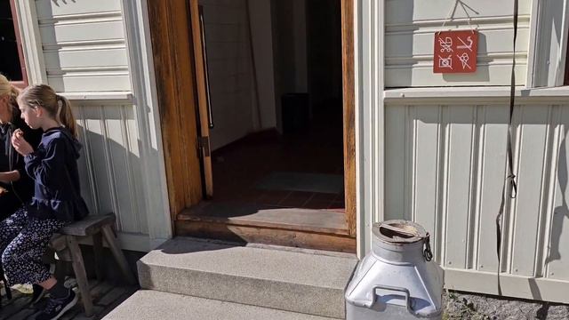Музей под открытым небом|Зоопарк|Skansen смотреть онлайн