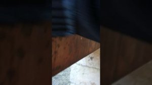 Подтянуть рейку на Киа Рио 3