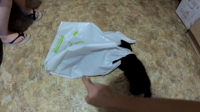 КАК ПРАВИЛЬНО ВАРИТЬ ТОЛЧЕНУЮ КАРТОШКУ??? смотреть онлайн