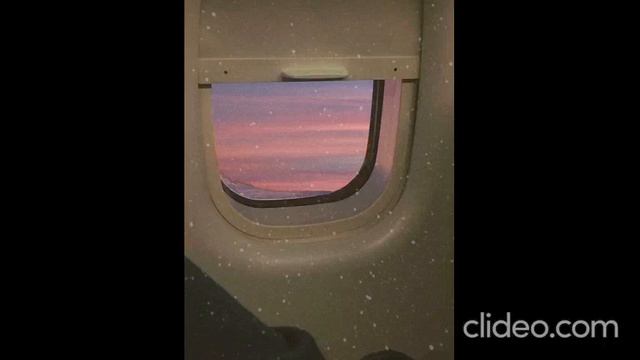 Brandon Stone - Правда без лица (TOM & JERRY) смотреть онлайн