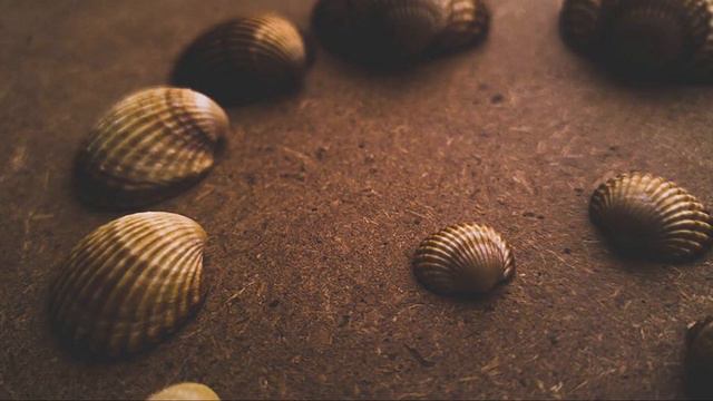 The Perfect Relaxing Music For A Busy Day смотреть онлайн