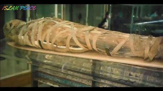 Firon Ki Lash Dunya Kay Liye Ibrat Ka Nishan - Bayan By Maulana Tariq Jameel Sb... смотреть онлайн