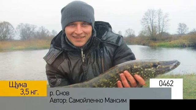Фотоальбом - Рыбалка №92 смотреть онлайн