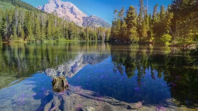 Истории из жизни Свекровь выгнала нас из квартиры Жизненные истории Аудио рассказы смотреть онлайн