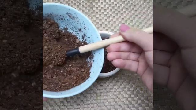How to make miniature garden diy / 4 fall fairy garden ideas | miniature teacup garden смотреть онлайн