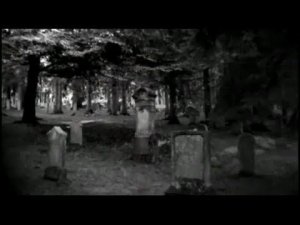 Andreas Gross - Heart Parasite