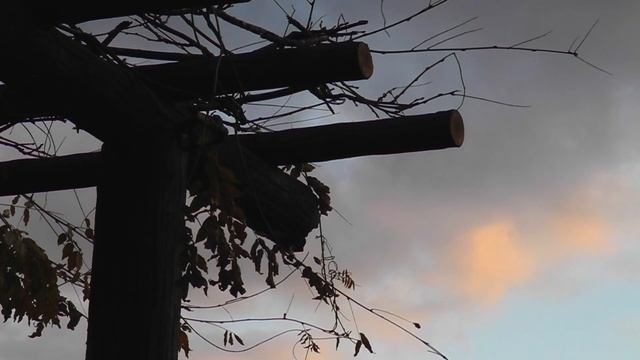 Winter Dusk / 冬の夕暮れ（Nikon Coolpix P7000）