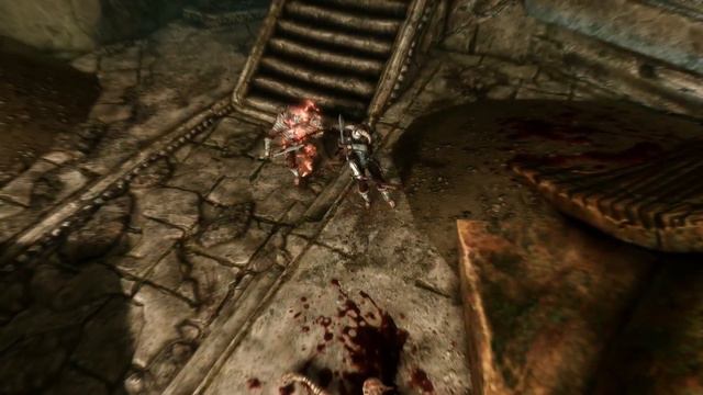 Rayya vs Cicero | Skyrim смотреть онлайн