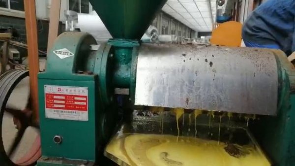 YZYX10(95) Оборудование для прессования растительного масла - xinchen