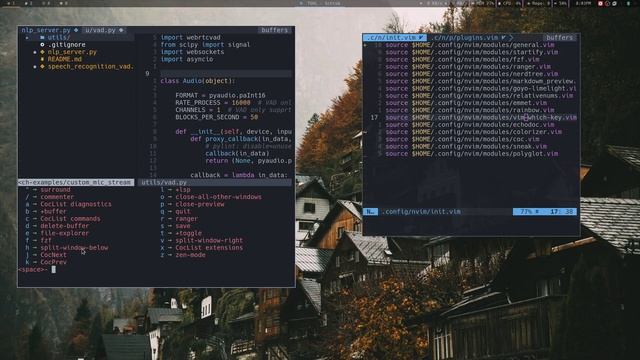 Setup Neovim like an IDE смотреть онлайн