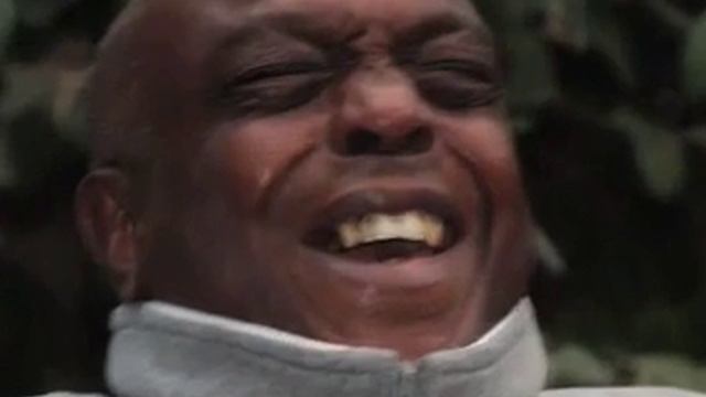 Annie Hickman's Rainforest Creatures at LongWood Gardens смотреть онлайн