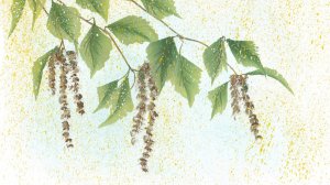 Пошаговый урок по рисованию веточек березы в технике One Stroke | «Простые рисунки на каждый день»