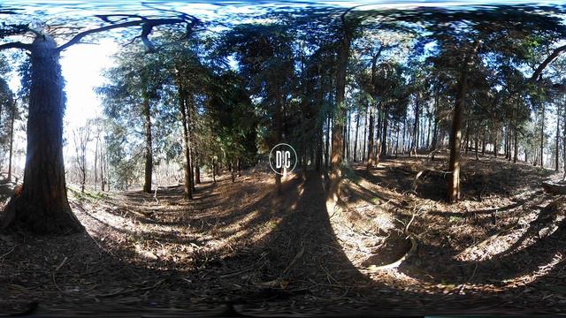 Virtual Nature Relaxation Meditation Retreat: VR 4K 360 Video For Stress Relief