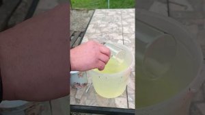 пропойка голубей чтобы меньше дохли пискуны