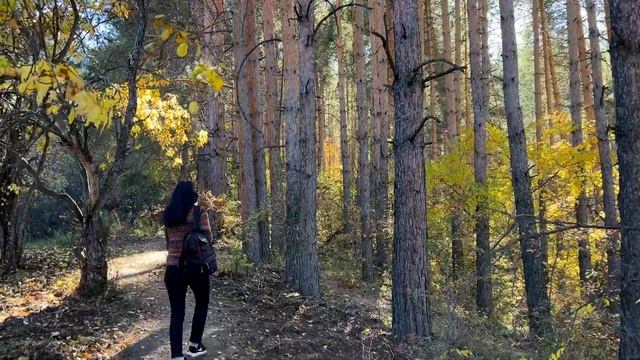 Берёзовая роща Ак-Кайын | Осенняя прогулка в Ак Каин смотреть онлайн