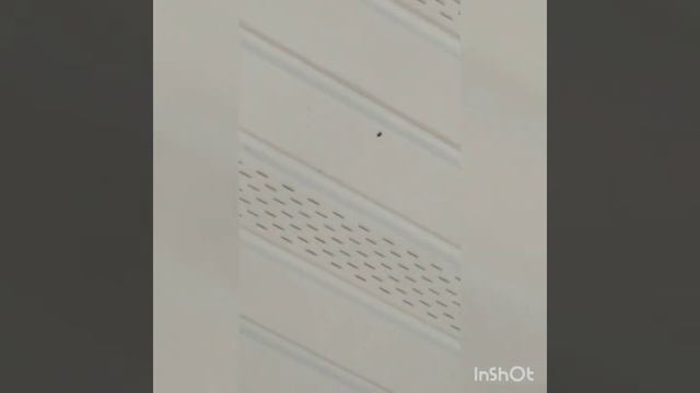 что с насекомыми зимой? смотреть онлайн