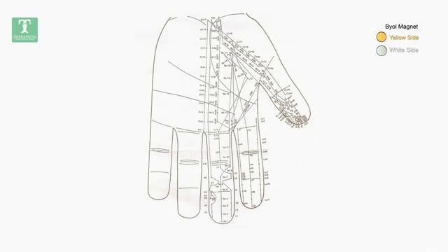 Treatment for Scrofula l Single point treatment 1 смотреть онлайн