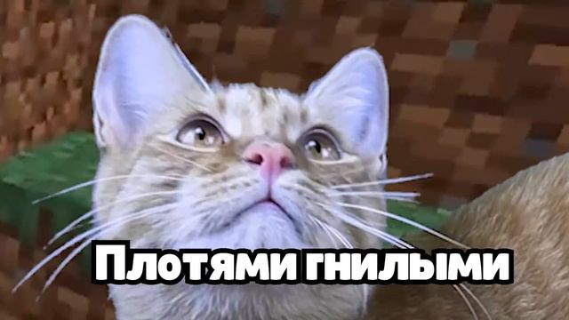 Симба отдал все наши алмазы... (Симба и Артем: Битва за замок) смотреть онлайн