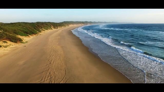Where Winds Meet - Buckethead (Music Video) смотреть онлайн