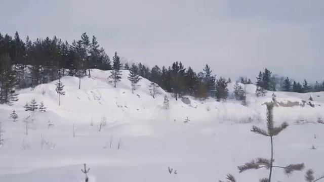 Альбина Дегтярёва тылыгар, Сиэн Тиитэп мелодиятыгар «Айанньыт» ырыа. Толорор Сандаара Данилова. смотреть онлайн