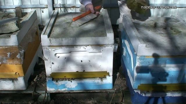 Пчелиный подмор. Весенние работы на пасеке. смотреть онлайн