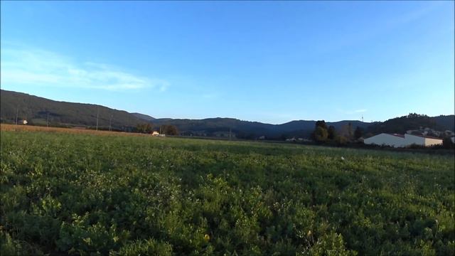 Chasse Au Petit Gibier :Tir P'une Poule Faisane ! смотреть онлайн