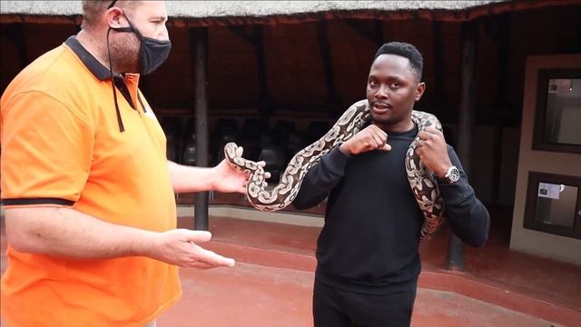 WE WENT TO PLAY WITH SNAKES & ZIP-LINE ABOVE CROCODILES IN JOHANNESBURG / CROC CITY смотреть онлайн