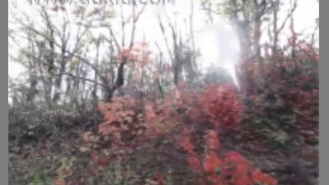 Грабовой Г.П. Учение Григория Грабового Часть 2 смотреть онлайн