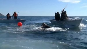 Охота на Моржей   Единственный способ выжить на Чукотке