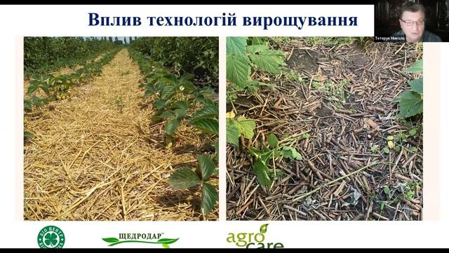 Підготовка до наступного сезону смотреть онлайн