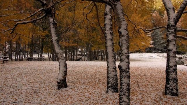 ASTRAL TRAVELERS 5 смотреть онлайн