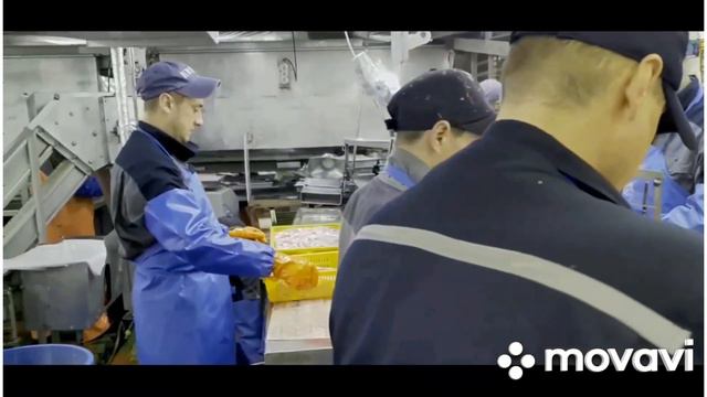 МИНТАЕВАЯ ЭКСПЕДИЦИЯ смотреть онлайн