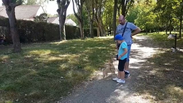 Дома без заборов. Одеяла в окнах. Вот так живут французы. смотреть онлайн