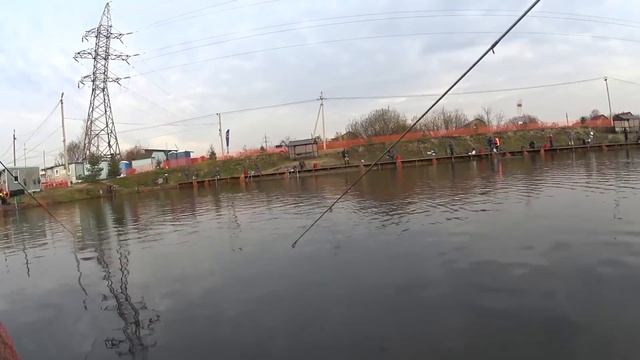 Ловля форели на платнике "Бисерово" 1.11.2015 г. смотреть онлайн