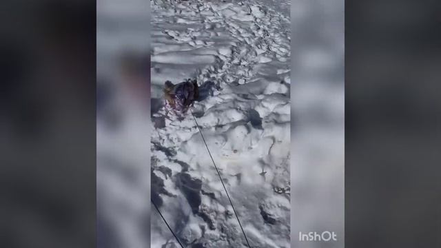 Март- самый зимний месяц 😉