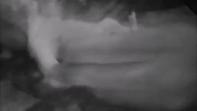 King Kong En Plastilina. Por Juan Martín Allende 2017