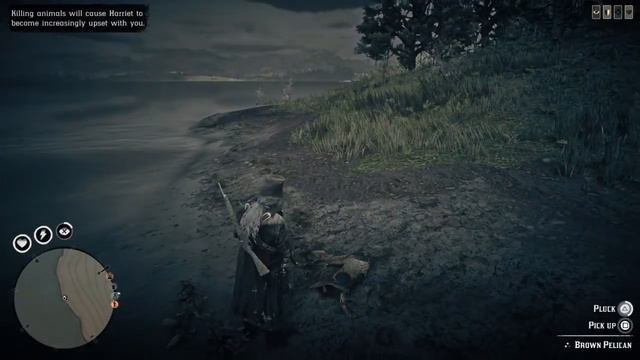 Pelican Exotic Bird Meat Location RDO Red Dead Redemption 2