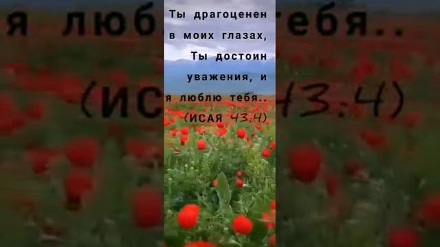 в начале было СЛОВО смотреть онлайн