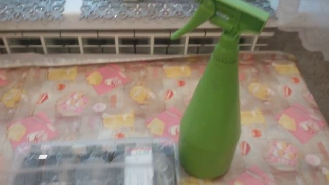 Ранний посев ПЕТУНИИ. Два способа посадки: тёплый и холодный смотреть онлайн