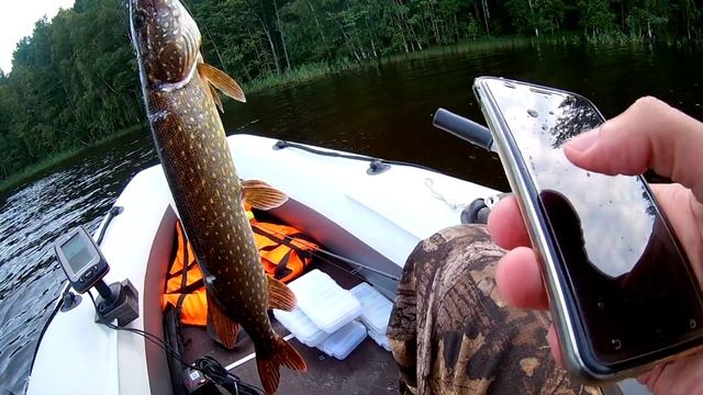 Щука на 2 КГ сожрала Salmo Minnow 7 смотреть онлайн