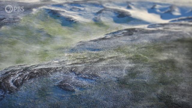 How a Supervolcano Ignited an Evolutionary Debate смотреть онлайн