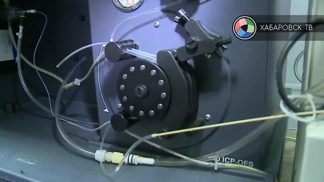 Опасная ягода смотреть онлайн