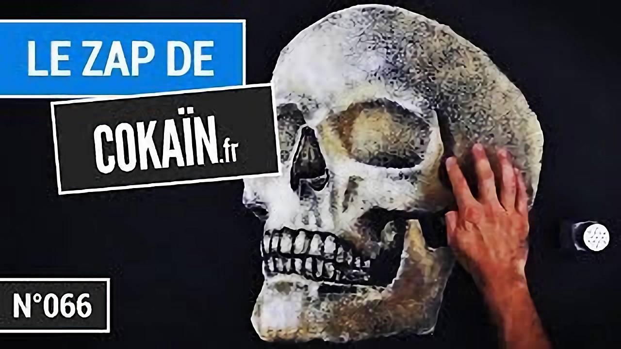 Le Zap De Cokaïn.fr N°066
