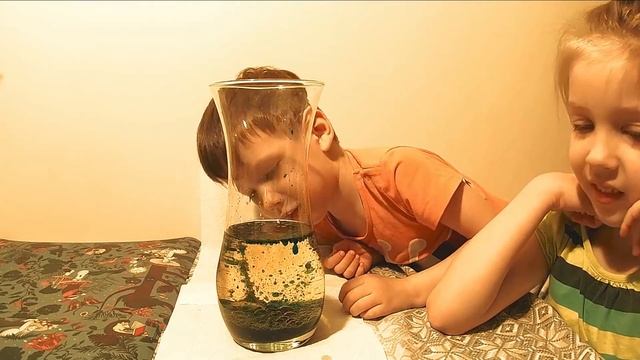 Лава лампа Эксперименты для дошкольников. Обьяснение опыта смотреть онлайн